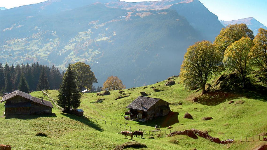Landschaft-BernerOberland-Almhütten